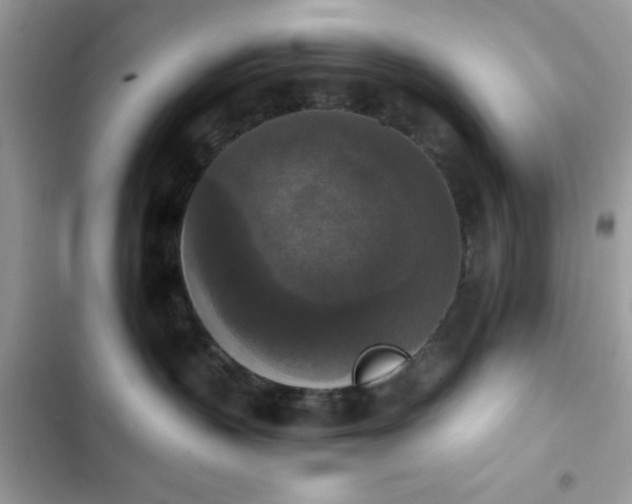 X0000103950383200809191447