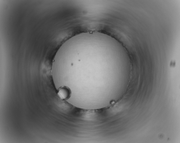 X0000103950384200809191447