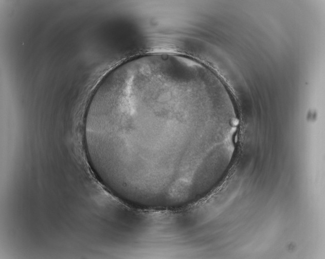 X0000103950385200809191446