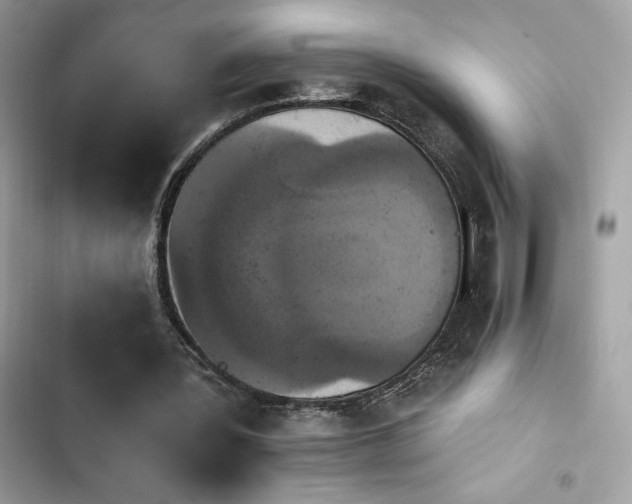 X0000103950387200809191446
