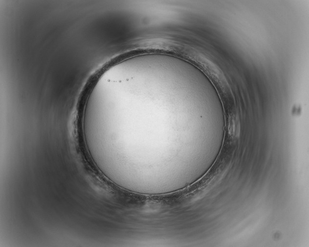 X0000103950388200809191446
