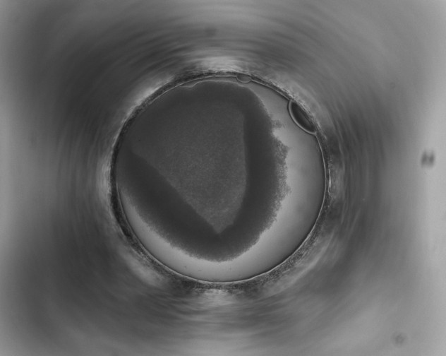 X0000103950390200809191446
