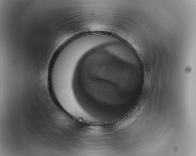 X0000103950391200809191446