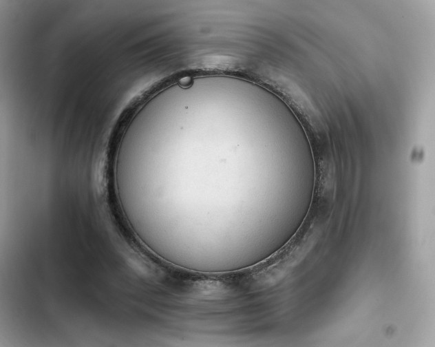 X0000103950392200809191446