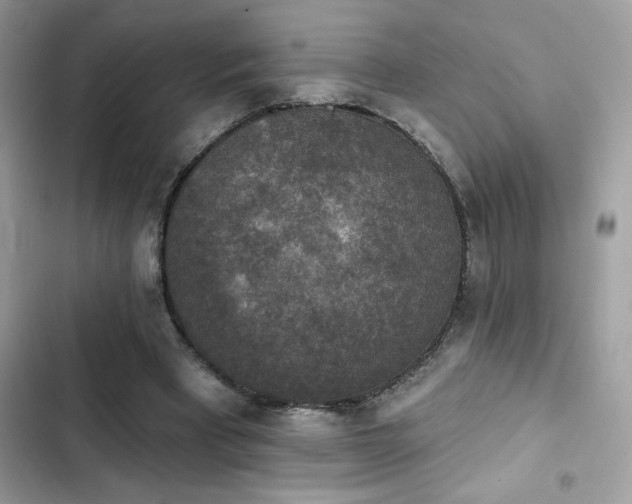X0000103950393200809191446