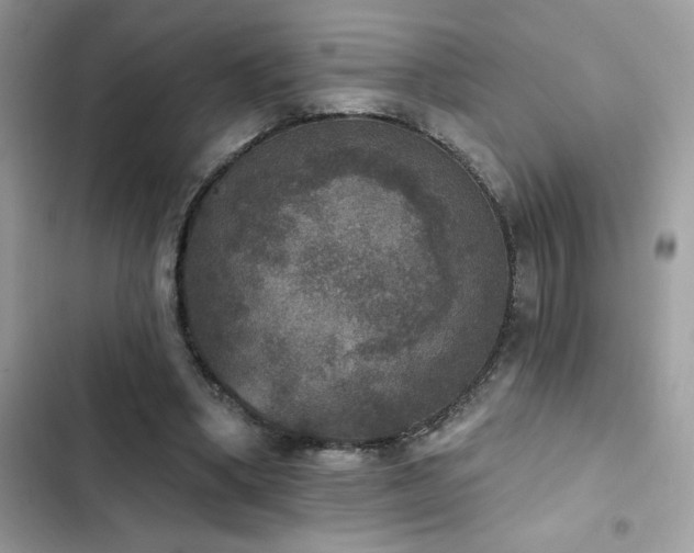 X0000103950394200809191446