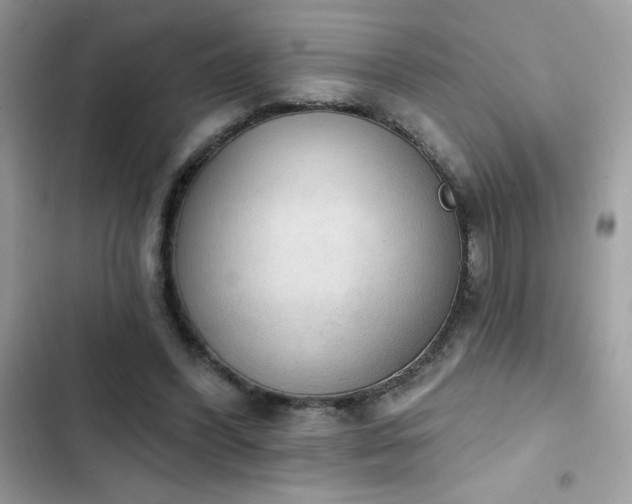 X0000103950396200809191446