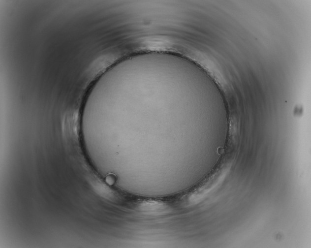 X0000103950397200809191446