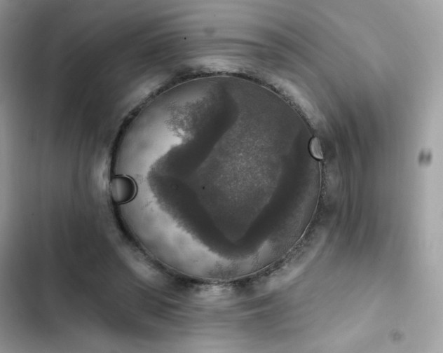 X0000103950398200809191446