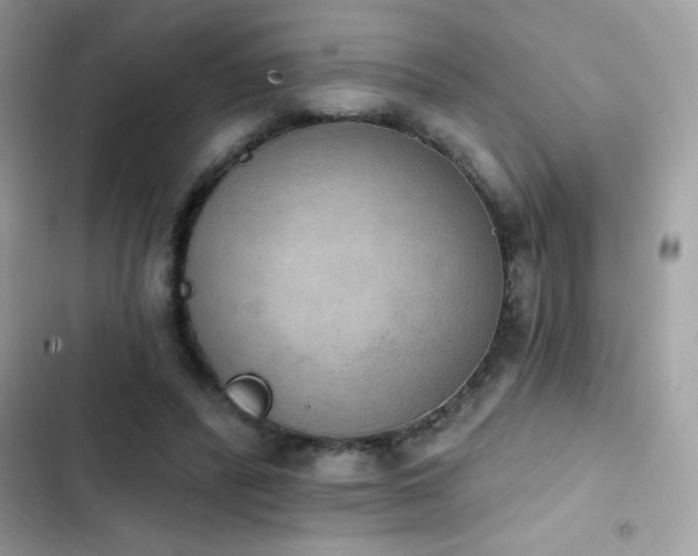 X0000103950400200809191446