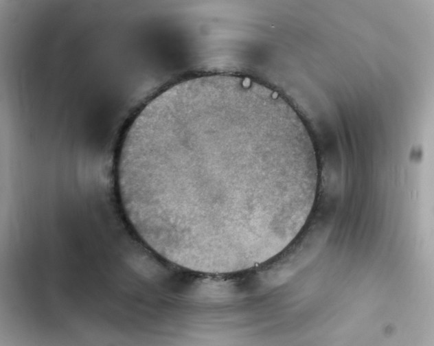 X0000103950403200809191445