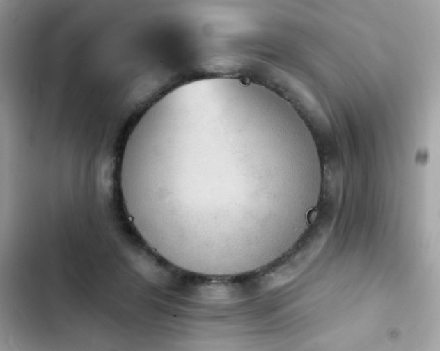 X0000103950404200809191445