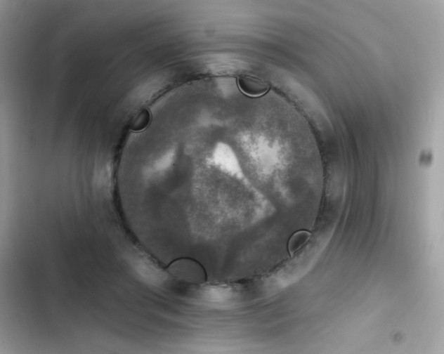 X0000103950405200809191445