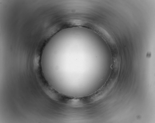 X0000103950406200809191445
