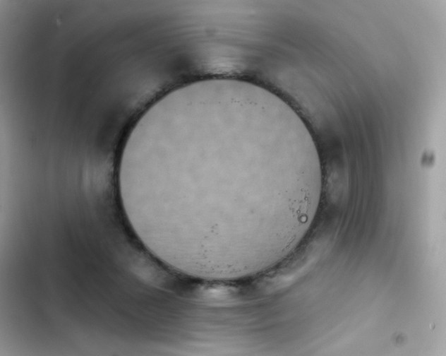 X0000103950407200809191445