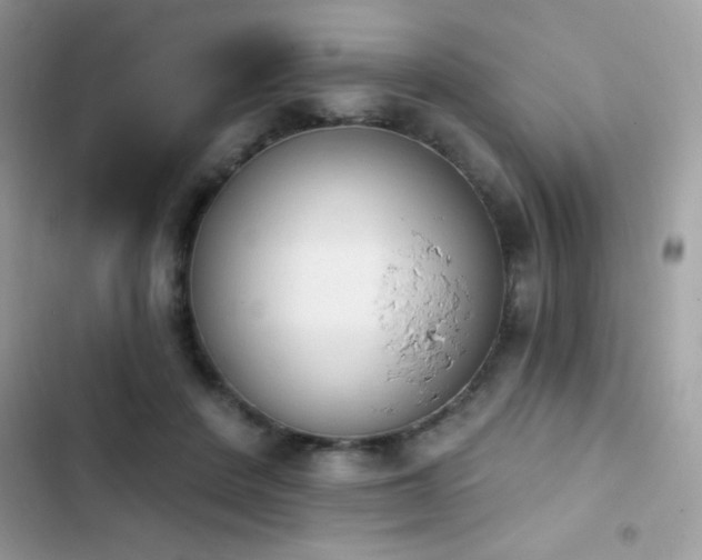 X0000103950408200809191445