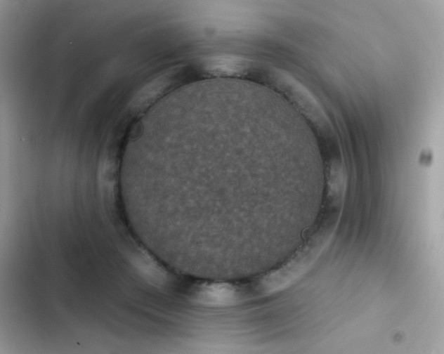X0000103950409200809191445