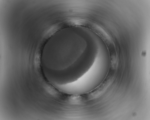 X0000103950410200809191445