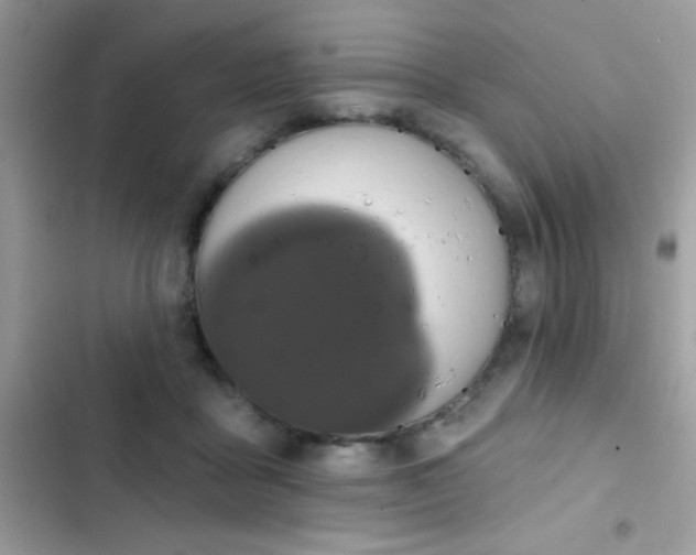 X0000103950411200809191445