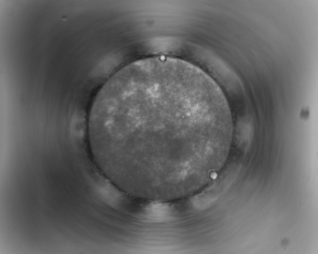 X0000103950413200809191445