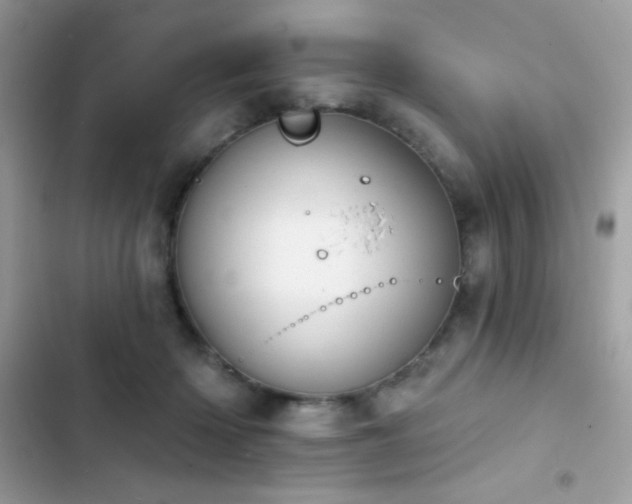X0000103950414200809191445