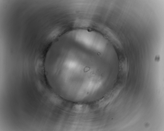 X0000103950415200809191445