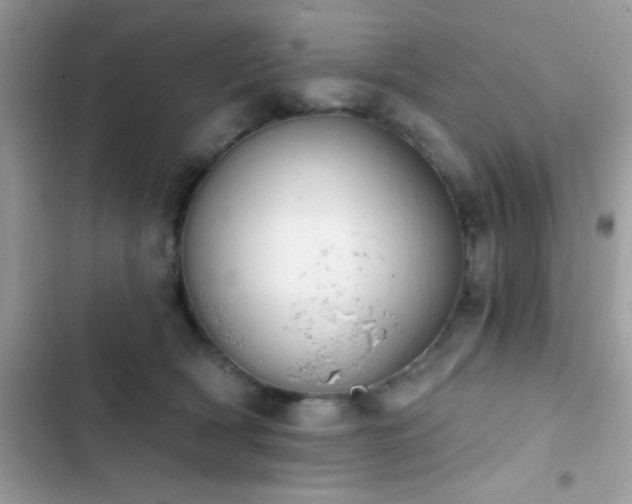 X0000103950418200809191445