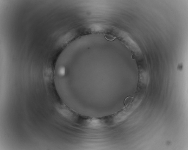 X0000103950419200809191445