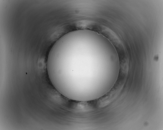 X0000103950420200809191445