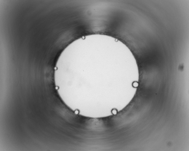 X0000103950421200809191445