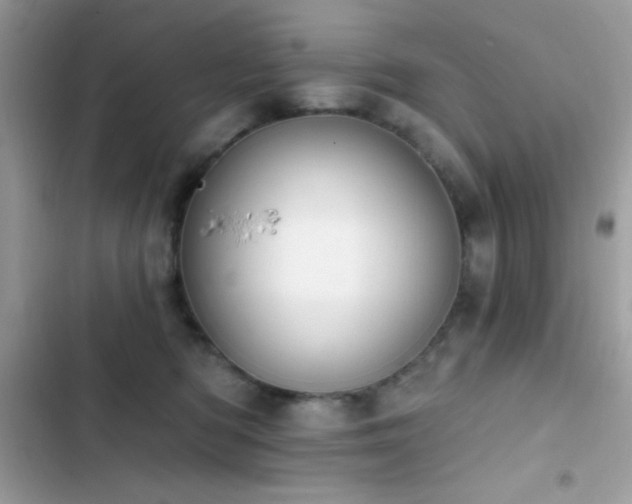X0000103950422200809191445