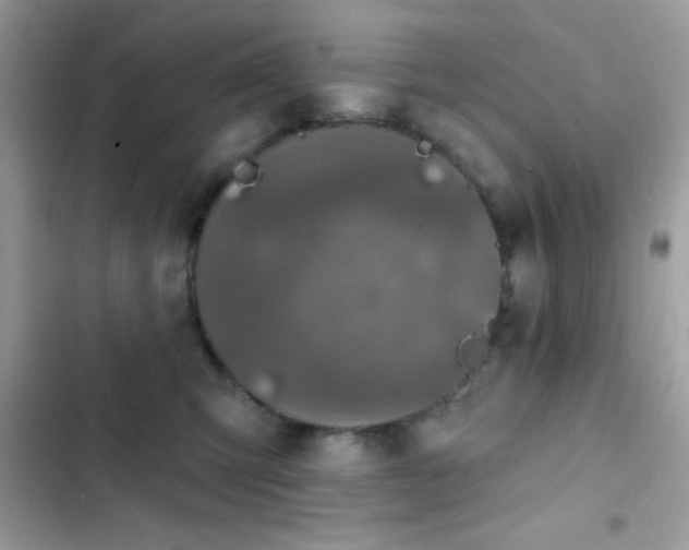 X0000103950423200809191445
