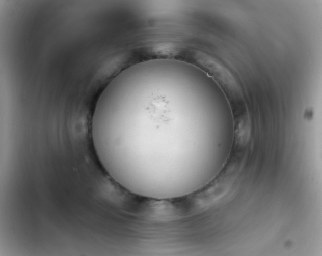 X0000103950424200809191445