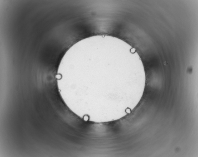 X0000103950425200809191445