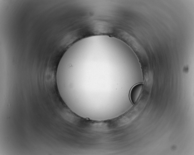 X0000103950426200809191445