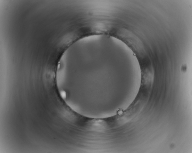 X0000103950427200809191445
