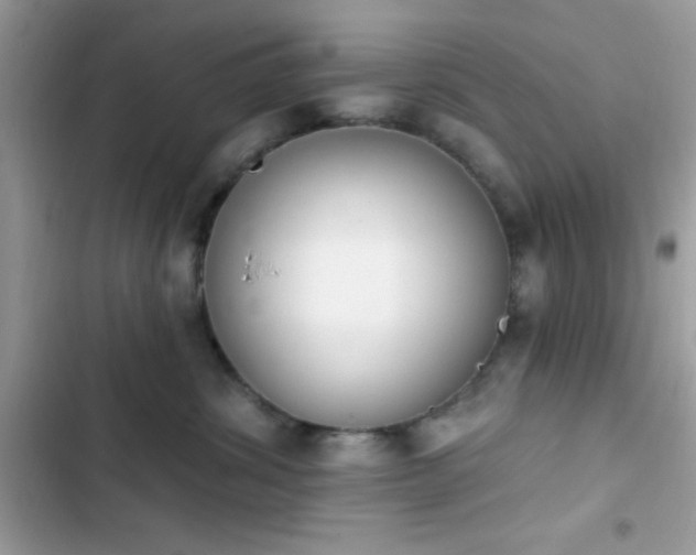 X0000103950428200809191445
