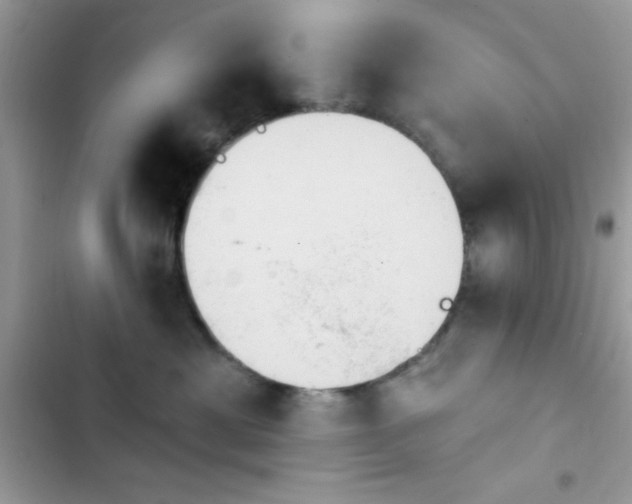 X0000103950429200809191445
