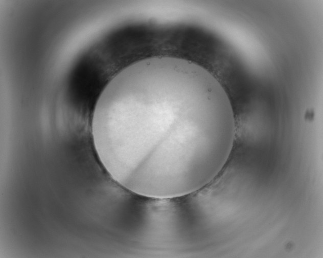 X0000103950431200809191445