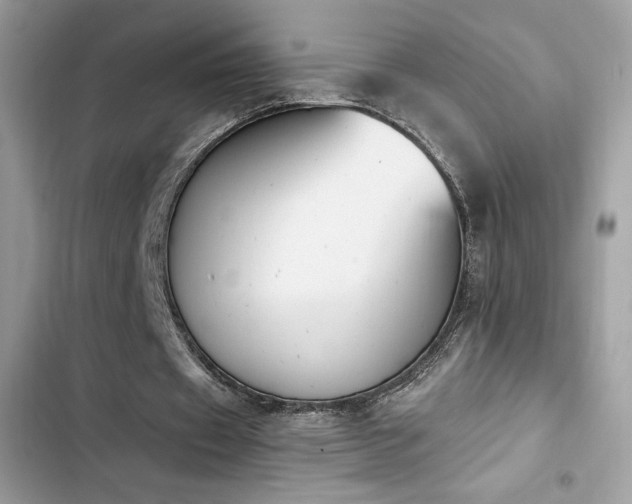 X0000103950433200809191444