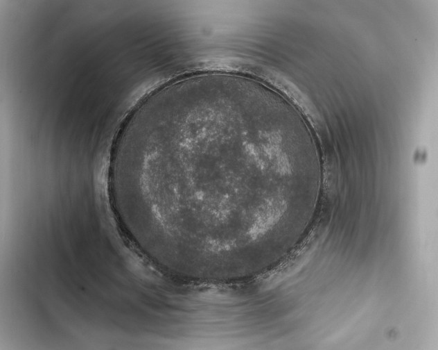 X0000103950434200809191444