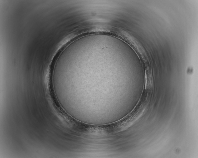X0000103950435200809191444