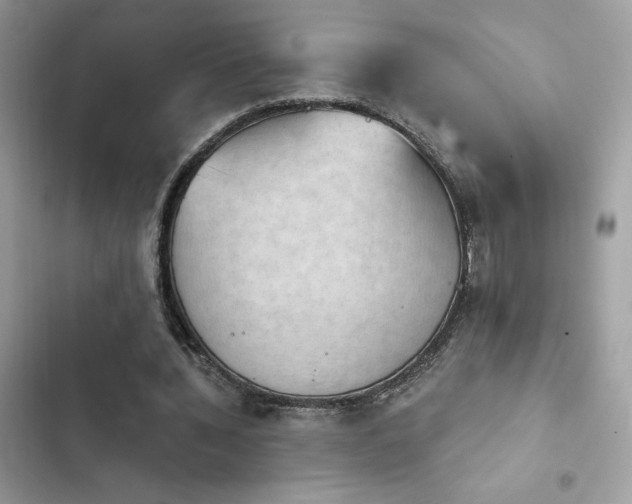 X0000103950436200809191444