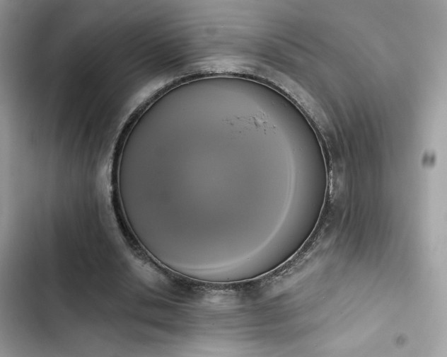 X0000103950438200809191444
