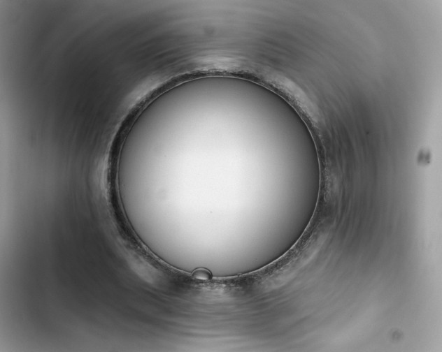 X0000103950439200809191444