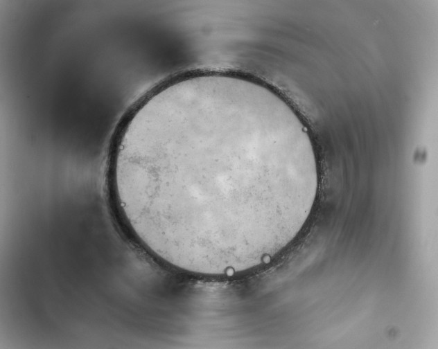X0000103950440200809191444