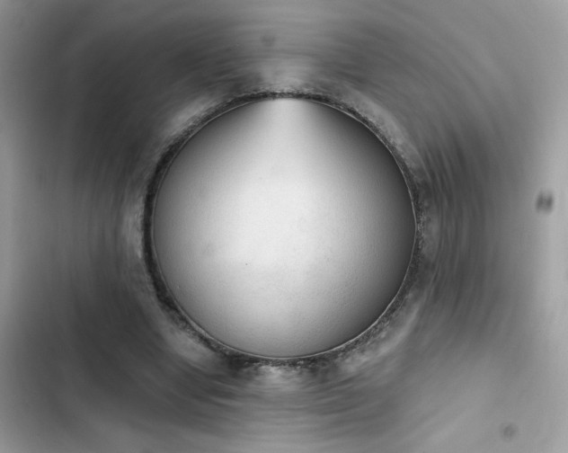 X0000103950442200809191444