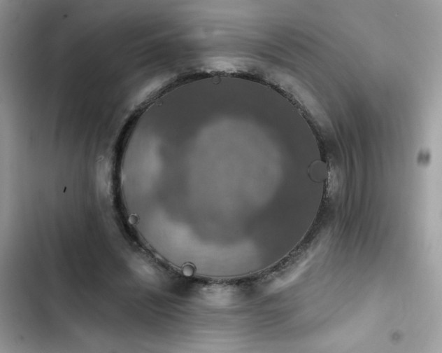X0000103950444200809191444