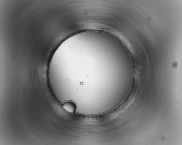 X0000103950445200809191444