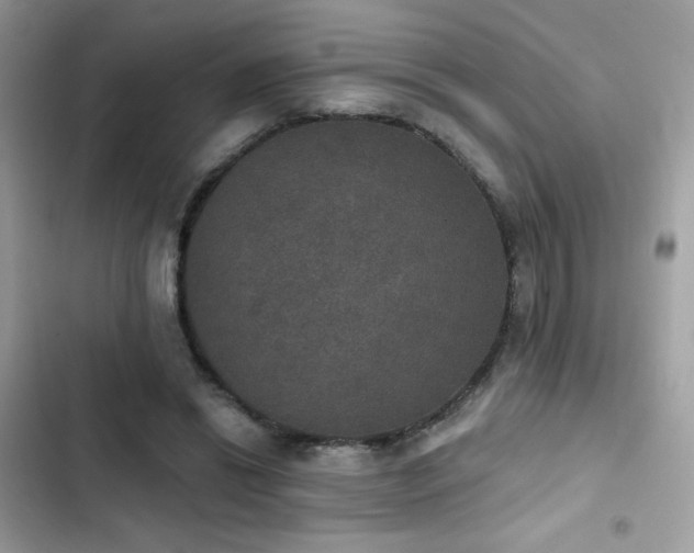 X0000103950446200809191444